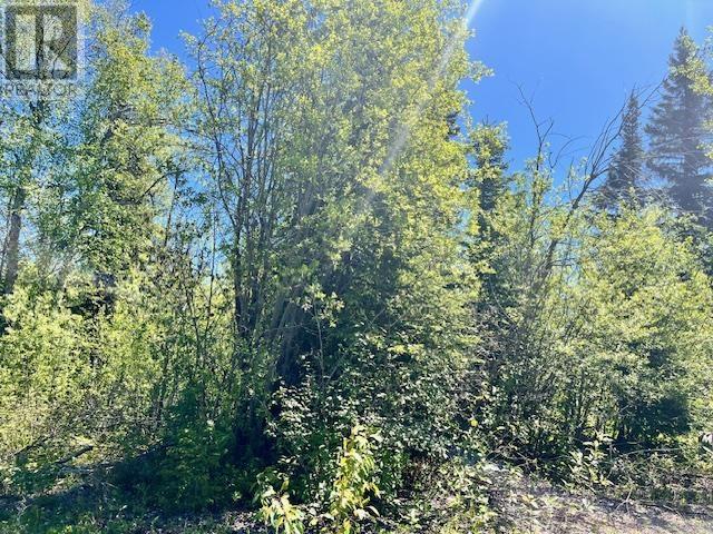 4578 Quesnel-Hydraulic Road, Quesnel, British Columbia  V2J 6P7 - Photo 1 - R3011429
