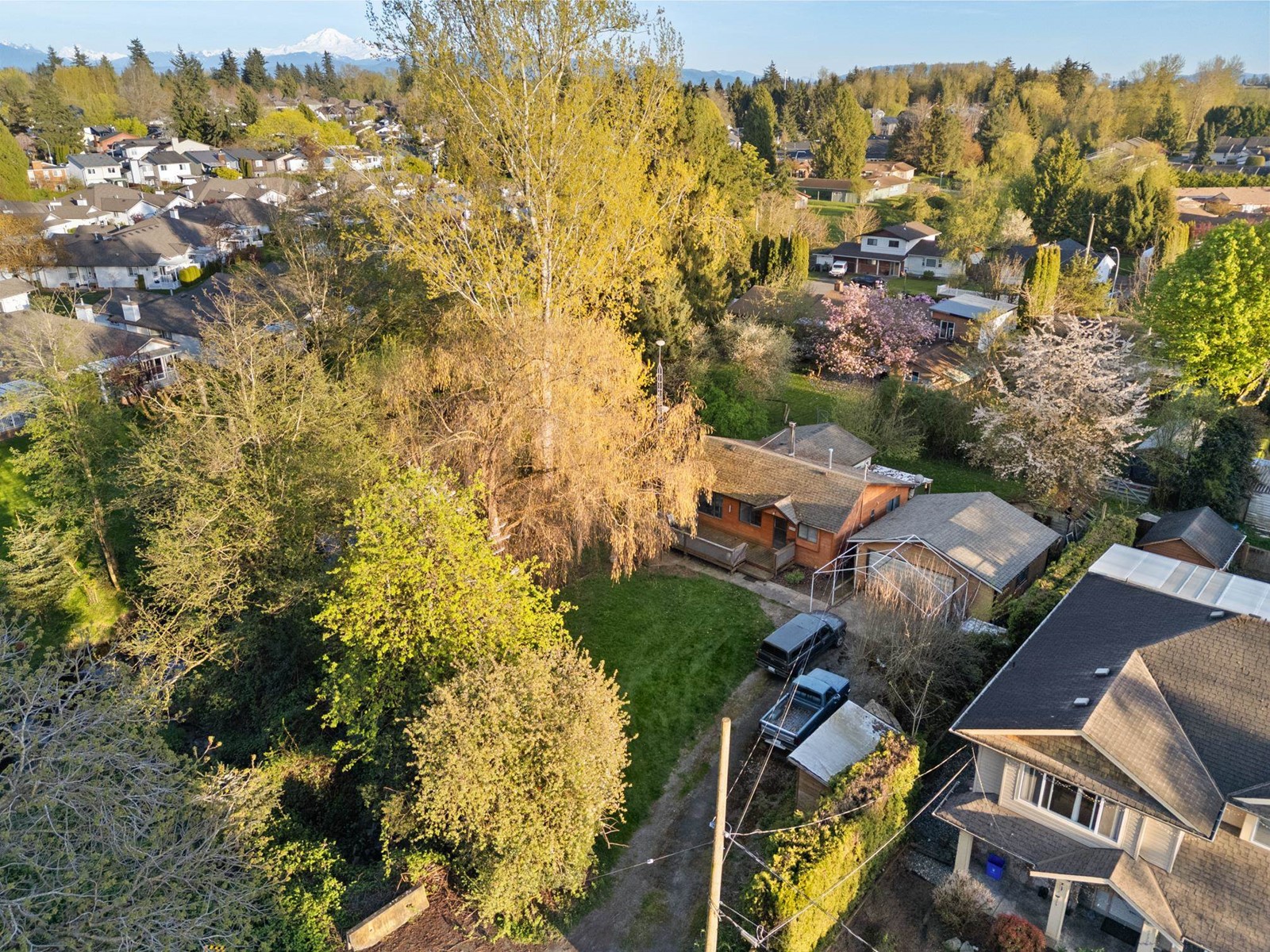 27394 30 Avenue, Langley, British Columbia  V3A 2V3 - Photo 35 - R3011503