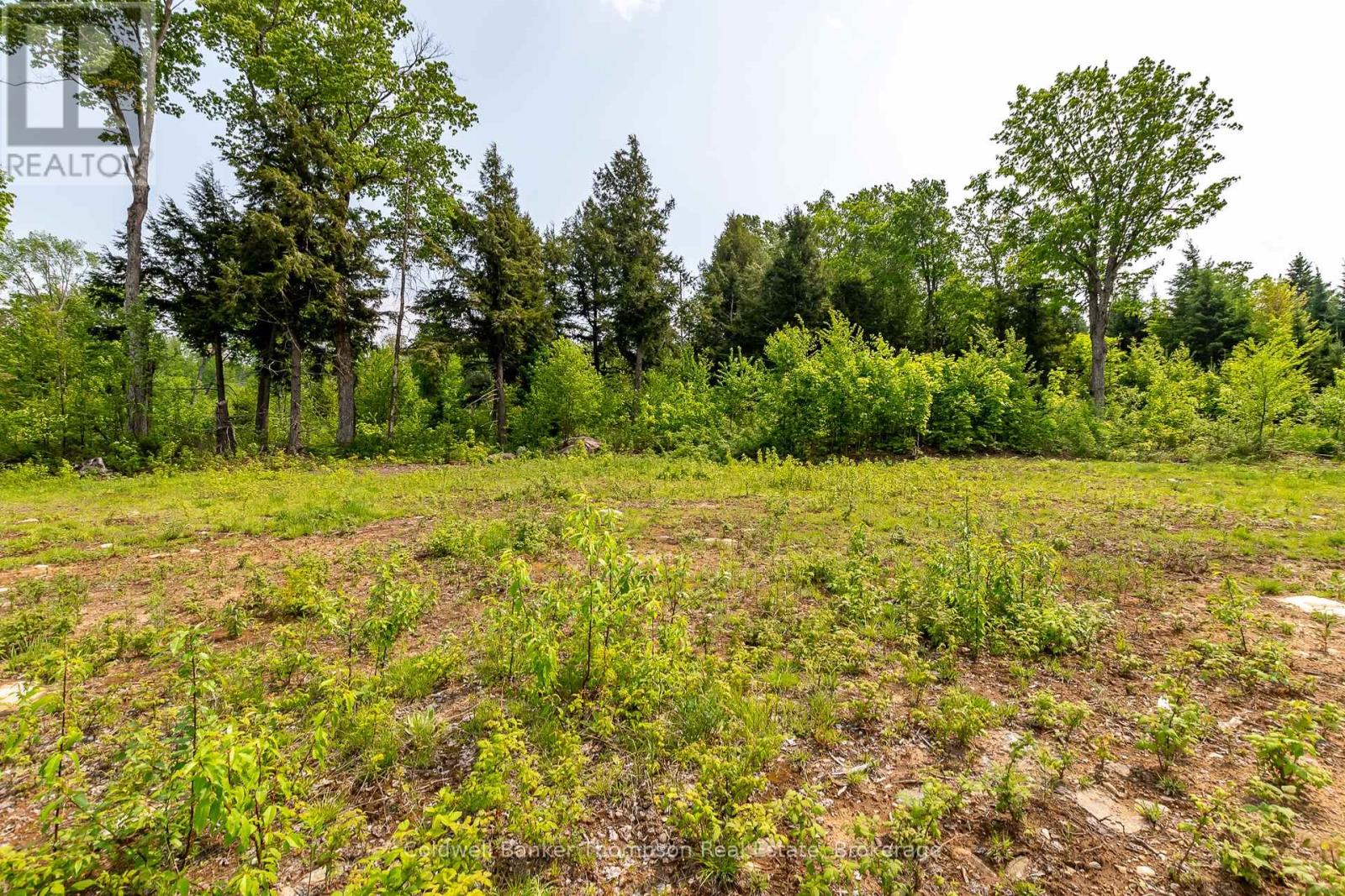 223 Peggs Mountain Road, Armour, Ontario  P0A 1C0 - Photo 6 - X12197014