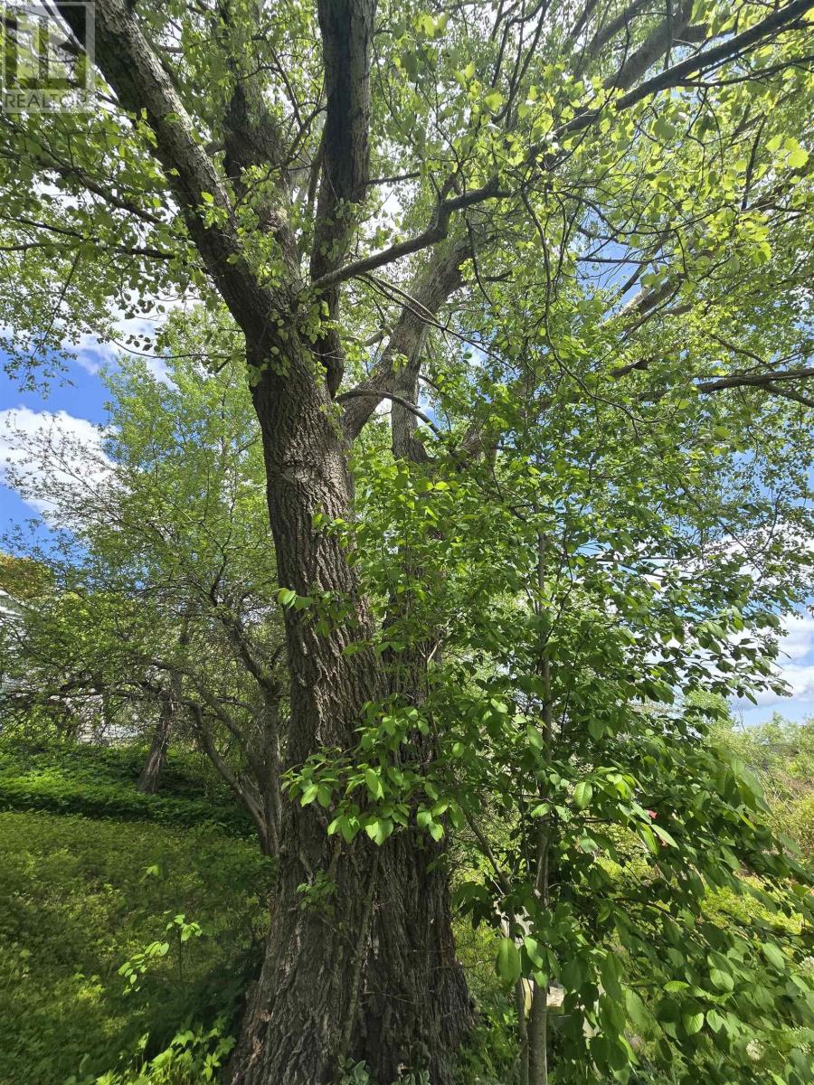 40 Broad St, Guysborough, Nova Scotia  B0H 1N0 - Photo 7 - 202513448