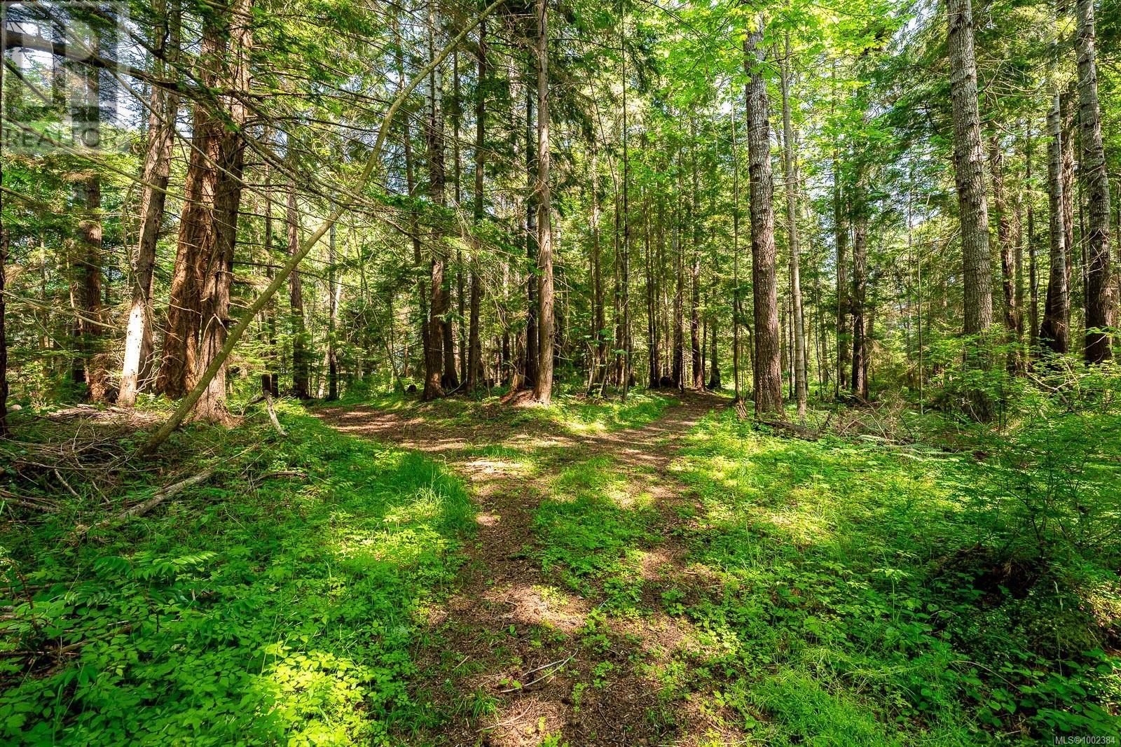 Lot 4 Butler Rd, Comox, British Columbia  V9M 4B4 - Photo 14 - 1002384