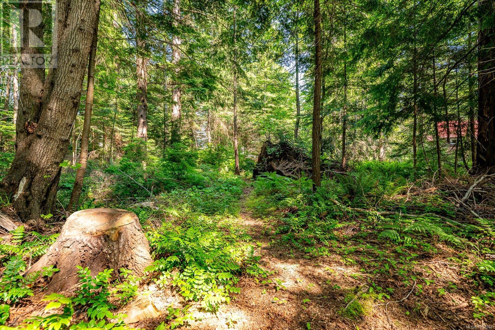 Lot 4 Butler Rd, Comox, British Columbia  V9M 4B4 - Photo 36 - 1002384