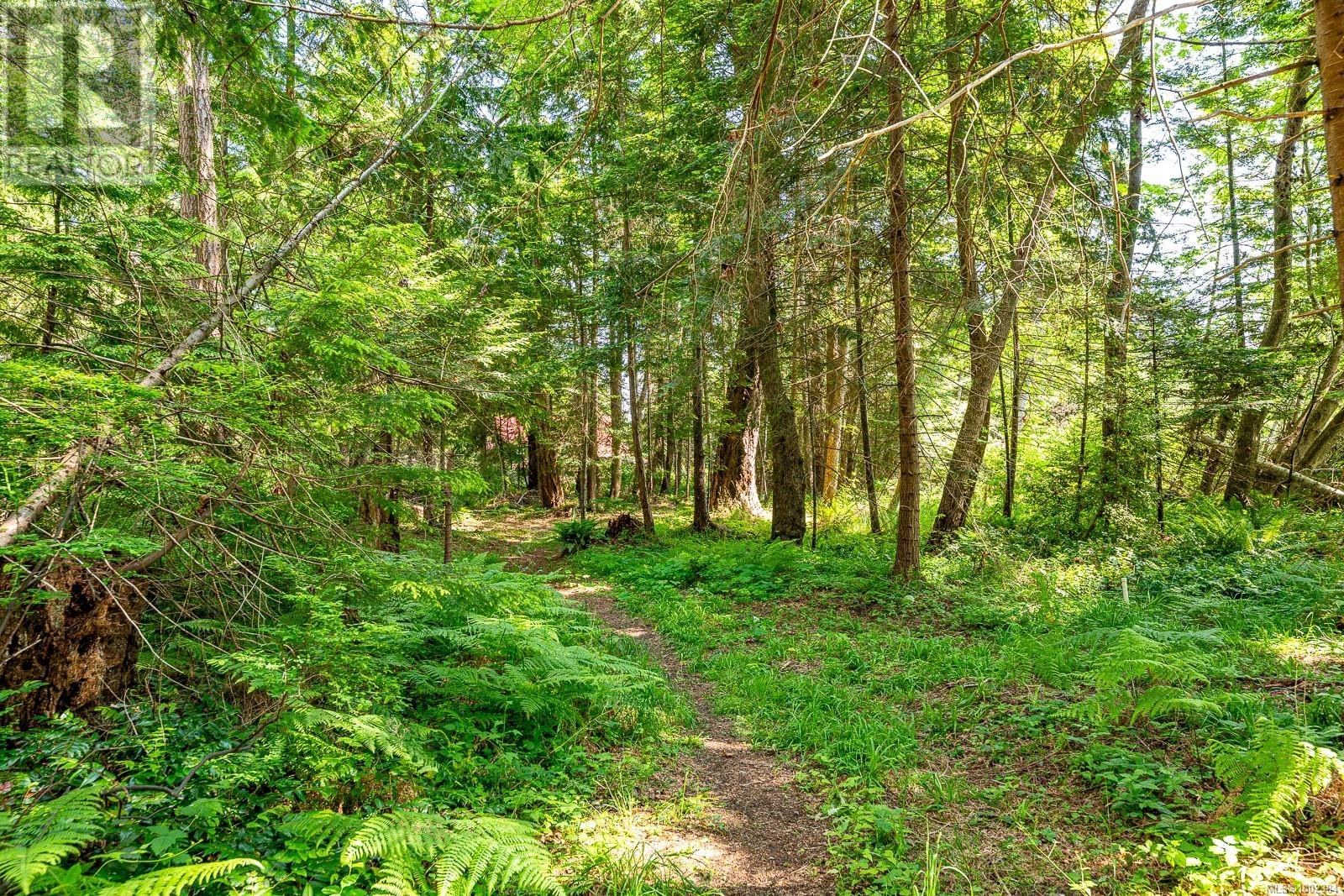 Lot 4 Butler Rd, Comox, British Columbia  V9M 4B4 - Photo 34 - 1002384