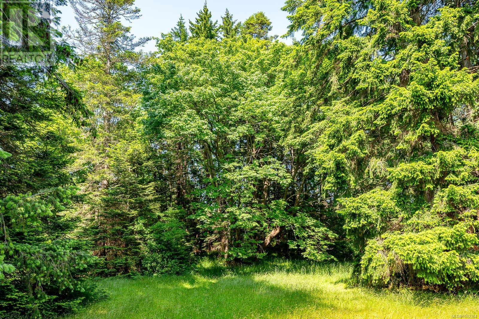 Lot 4 Butler Rd, Comox, British Columbia  V9M 4B4 - Photo 30 - 1002384
