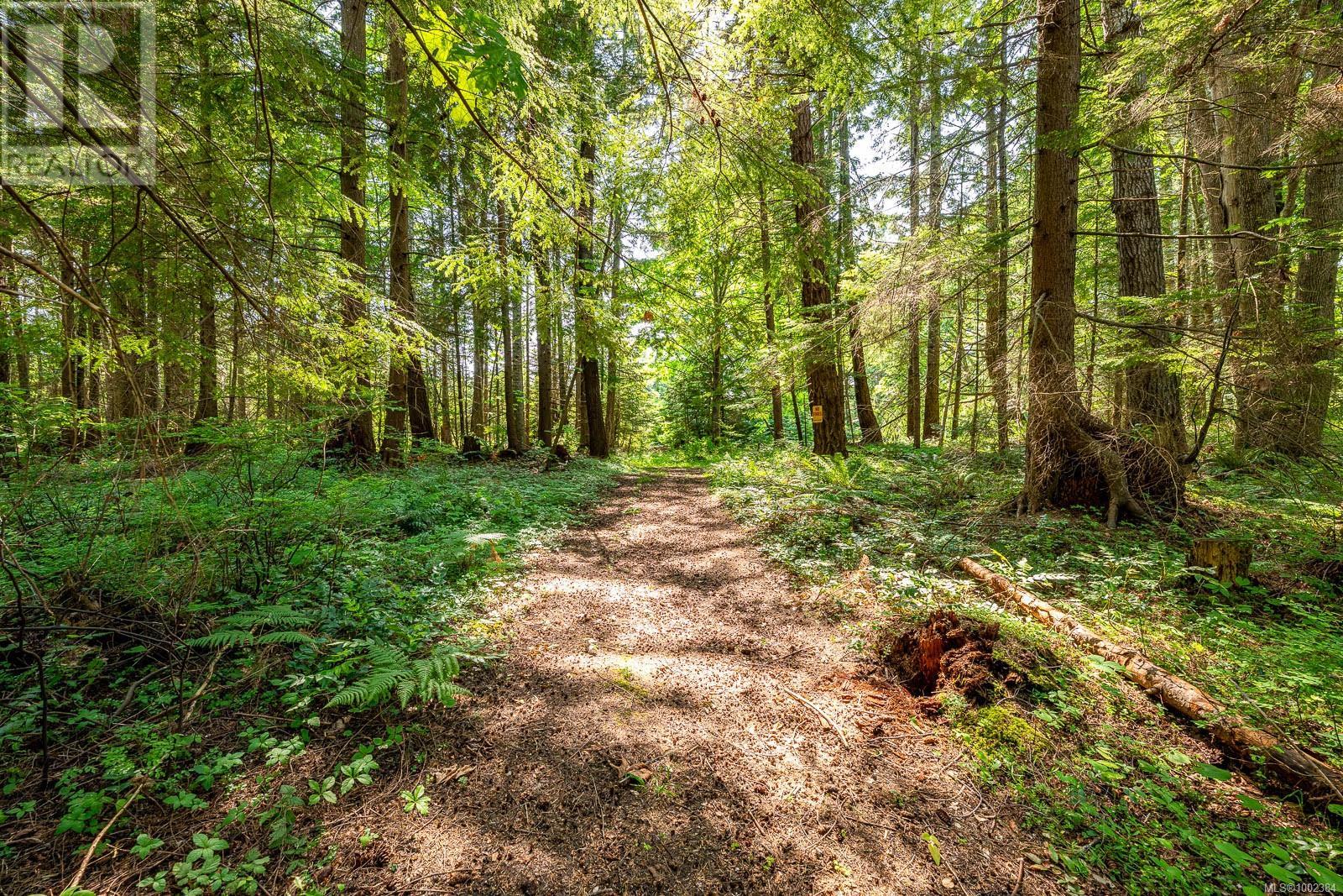 Lot 4 Butler Rd, Comox, British Columbia  V9M 4B4 - Photo 41 - 1002384
