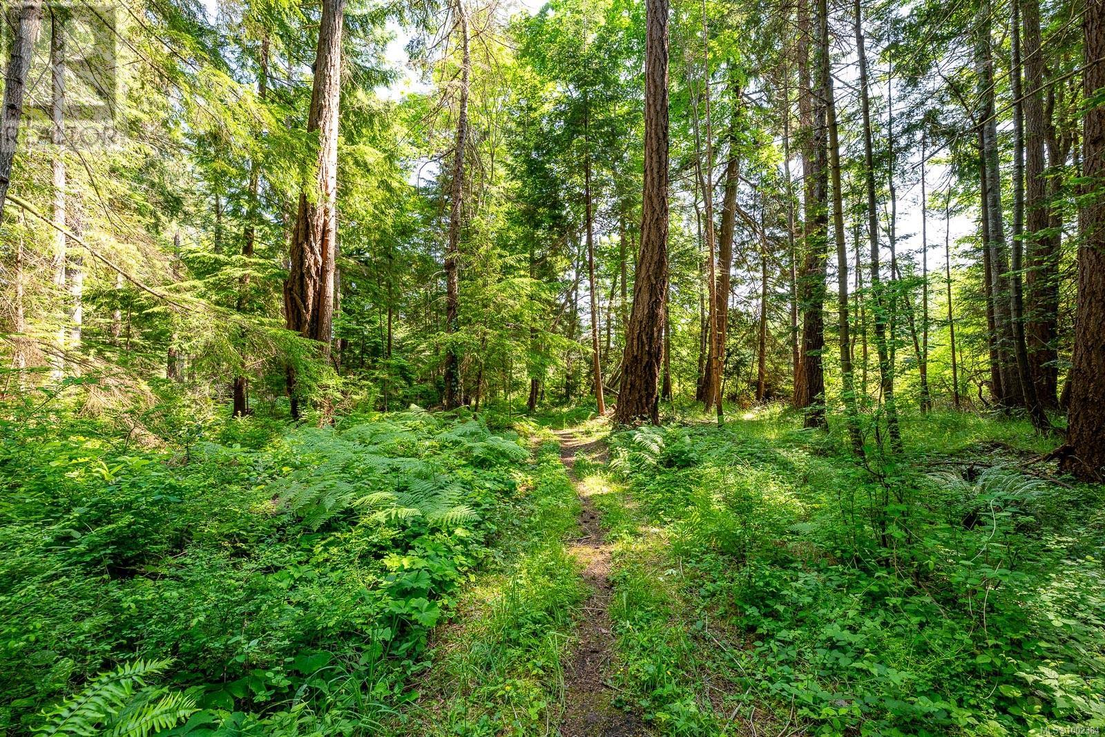 Lot 4 Butler Rd, Comox, British Columbia  V9M 4B4 - Photo 33 - 1002384