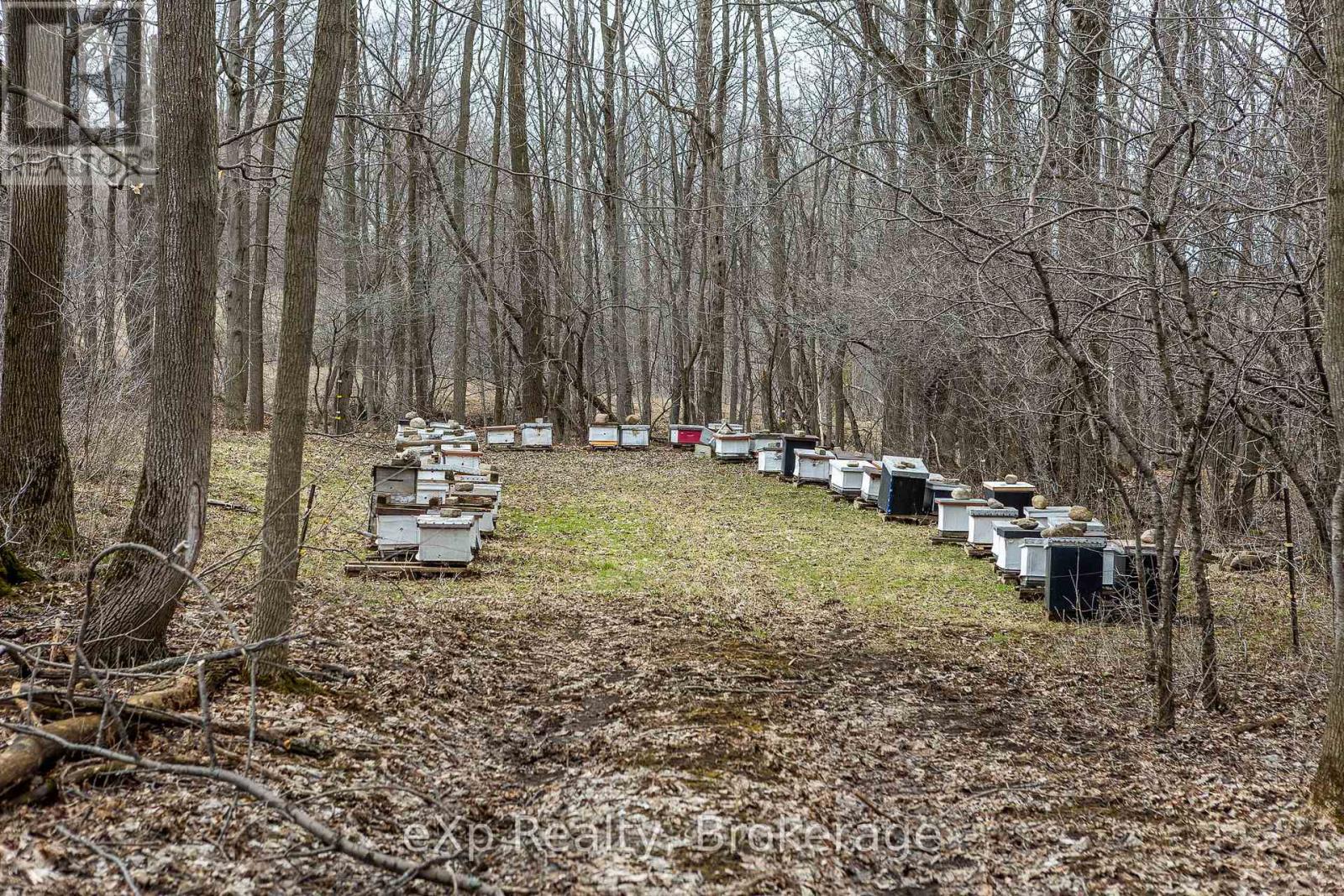 Ptlt 29 Con 1s, St. Vincent-Sydenham Townline, Meaford, Ontario  N0H 1B0 - Photo 3 - X12089013