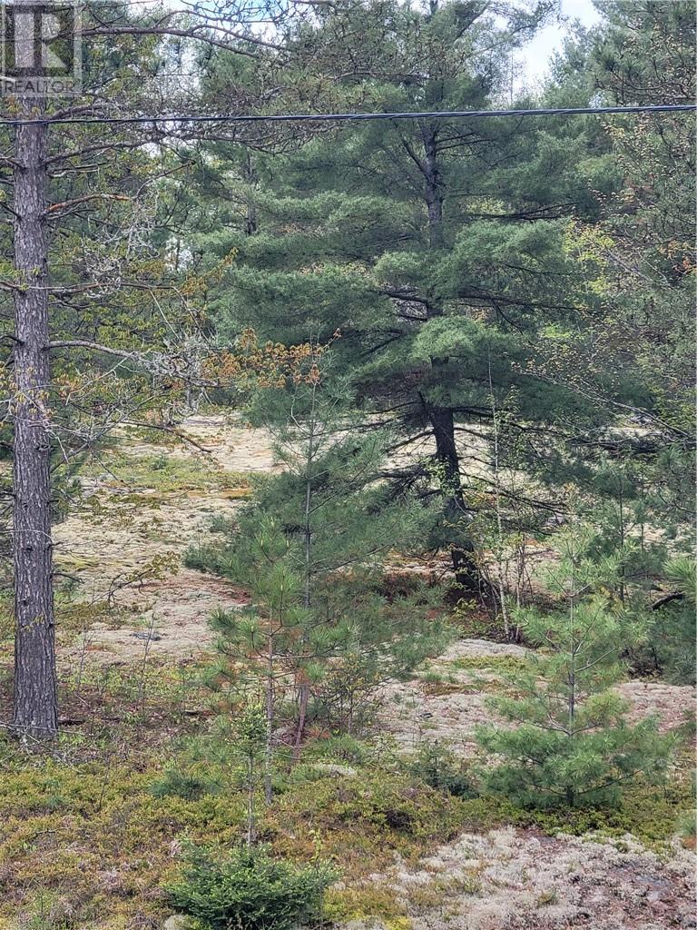 Lot 1 Hwy 535, Noelville, Ontario  P0M 2N0 - Photo 10 - 2121641