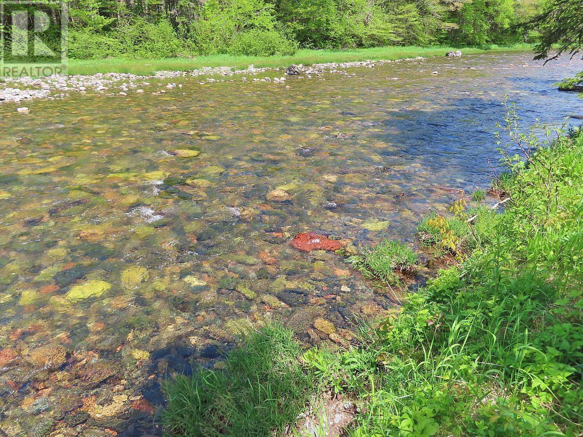 3 Lots Gold River Road, Upper Middle River, Nova Scotia  B0E 1B0 - Photo 10 - 202426003
