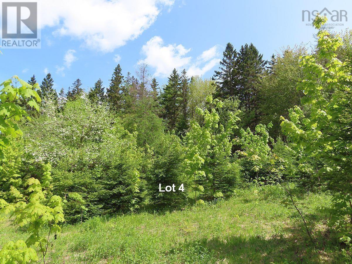 3 Lots Gold River Road, Upper Middle River, Nova Scotia  B0E 1B0 - Photo 28 - 202426003