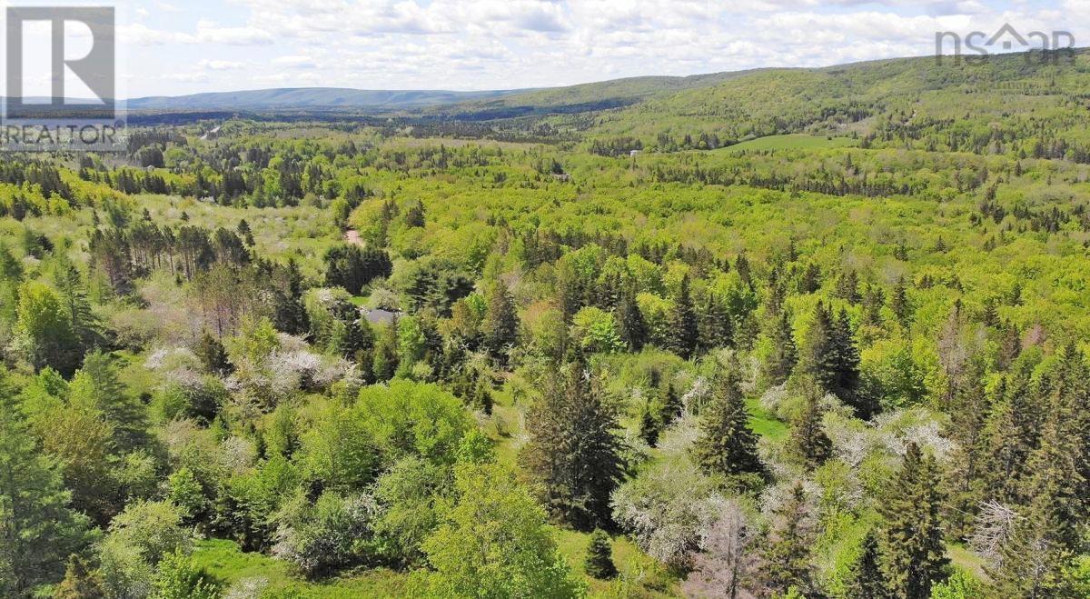 3 Lots Gold River Road, Upper Middle River, Nova Scotia  B0E 1B0 - Photo 31 - 202426003