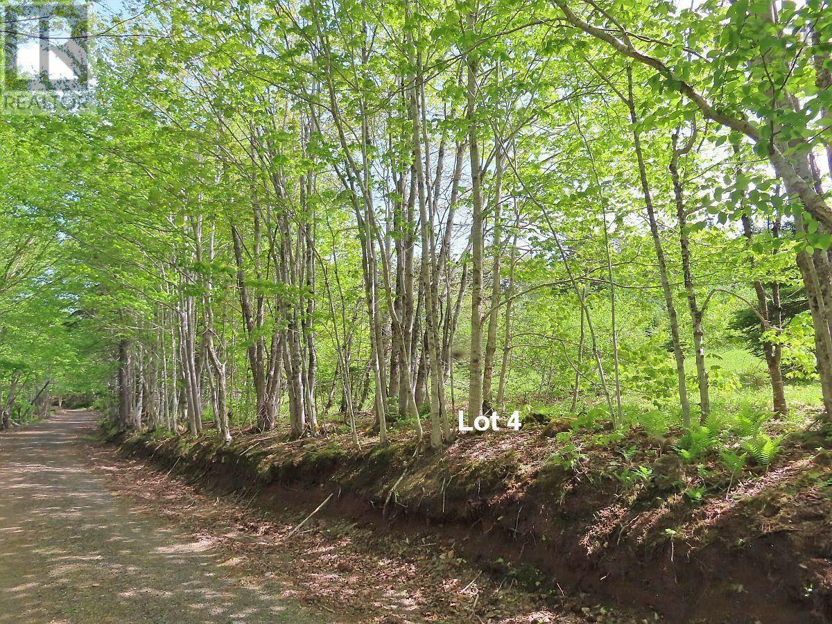 3 Lots Gold River Road, Upper Middle River, Nova Scotia  B0E 1B0 - Photo 24 - 202426003