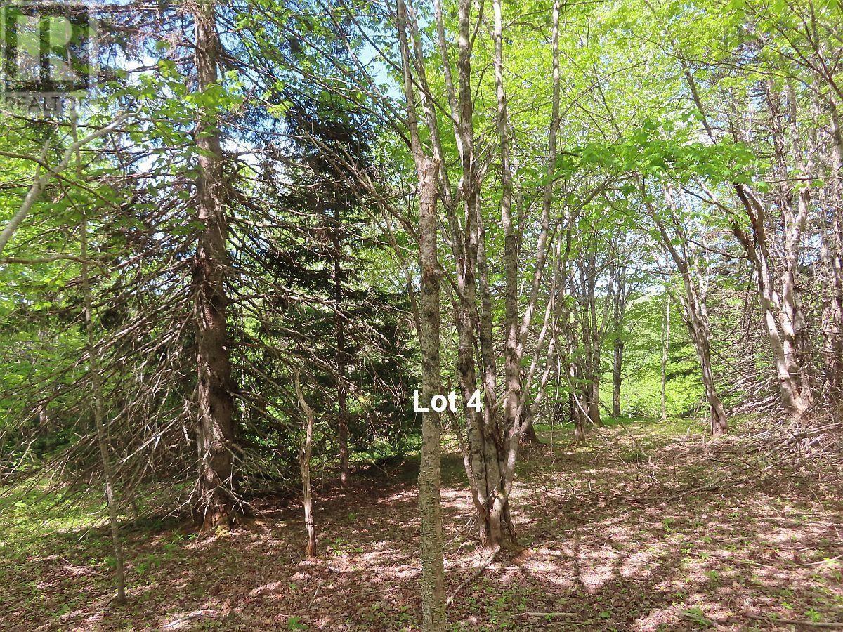 3 Lots Gold River Road, Upper Middle River, Nova Scotia  B0E 1B0 - Photo 30 - 202426003