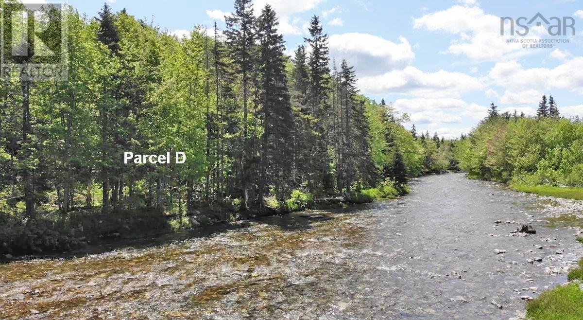 3 Lots Gold River Road, Upper Middle River, Nova Scotia  B0E 1B0 - Photo 5 - 202426003