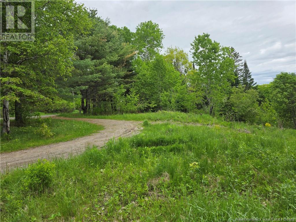 1736 Route 148, Taymouth, New Brunswick  E6C 2E9 - Photo 9 - NB120031