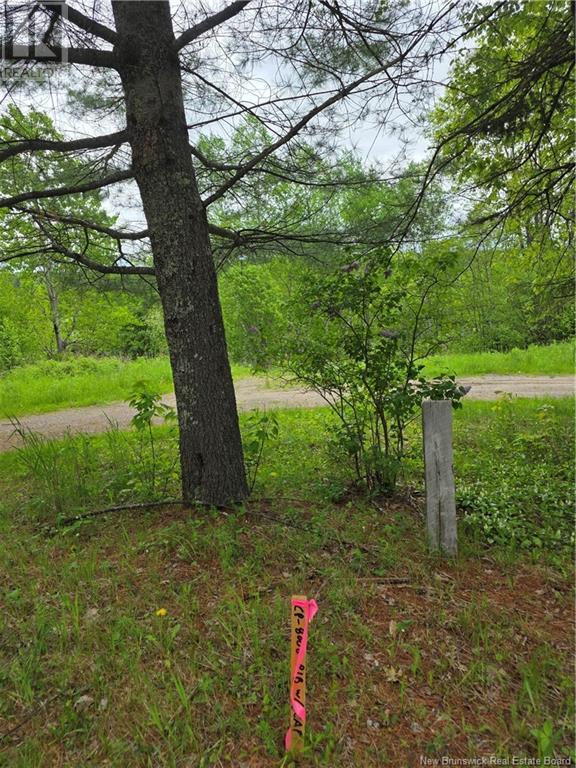 1736 Route 148, Taymouth, New Brunswick  E6C 2E9 - Photo 2 - NB120031