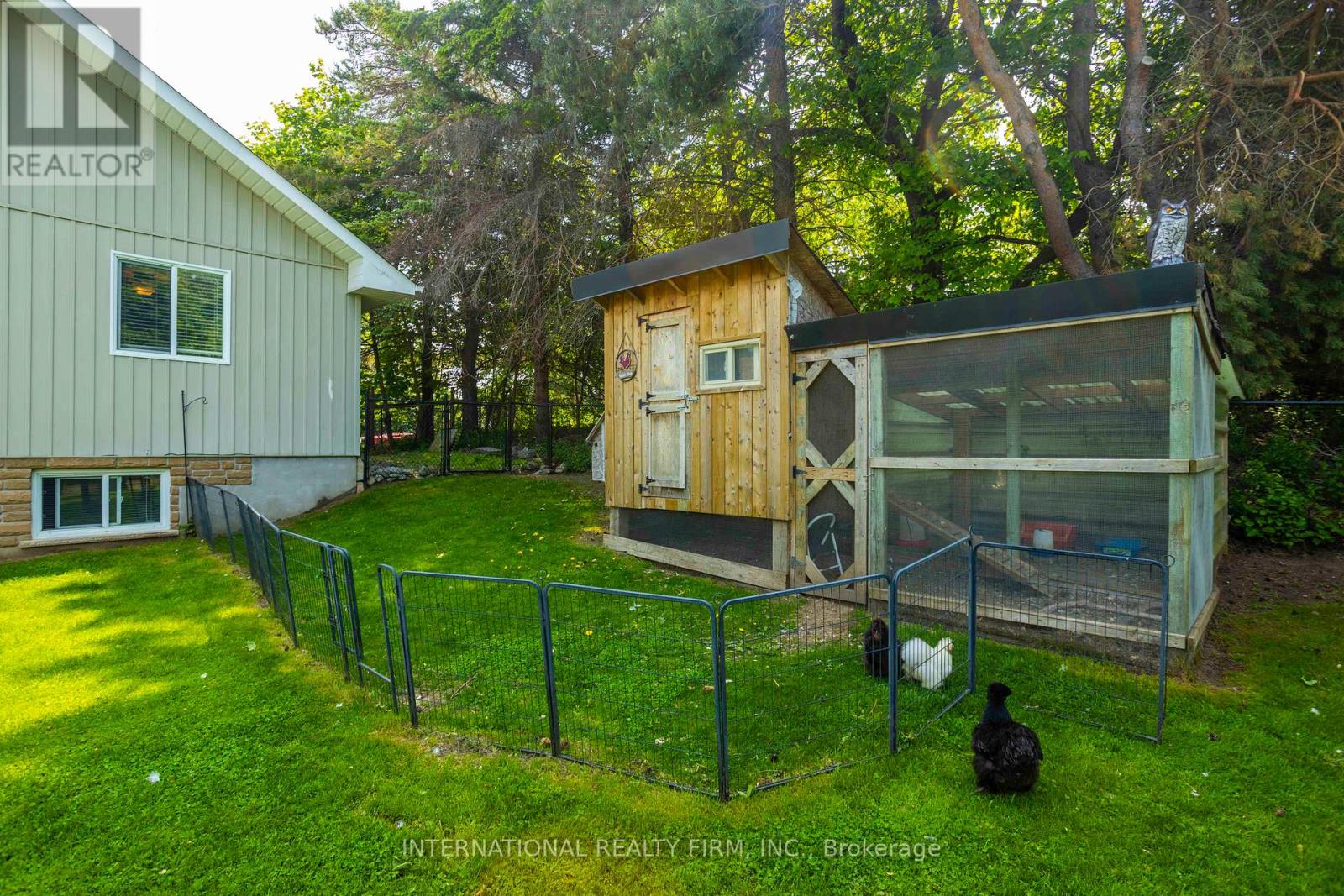 52 Shelley Drive, Kawartha Lakes, Ontario  K0M 2C0 - Photo 23 - X12197458