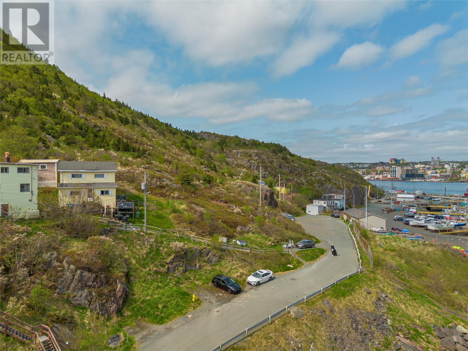 26 Fort Amherst Road, St. John's, Newfoundland & Labrador  A1C 5H2 - Photo 5 - 1285800