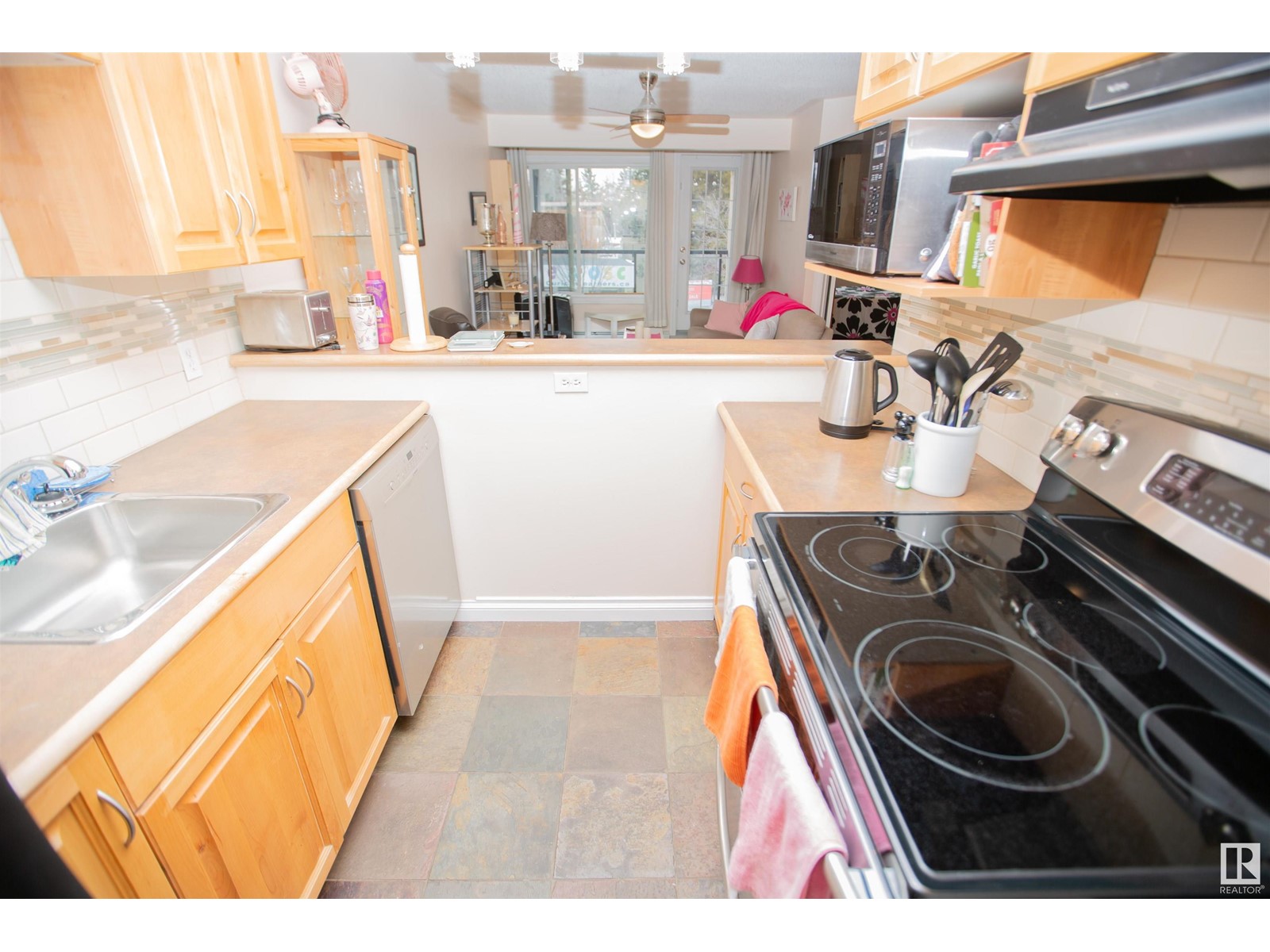 Property at #213 11033 127 ST NW image 3