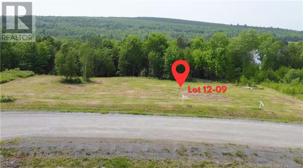 Swan Lane, Lower Prince William, New Brunswick  E6K 3Y6 - Photo 4 - NB119850