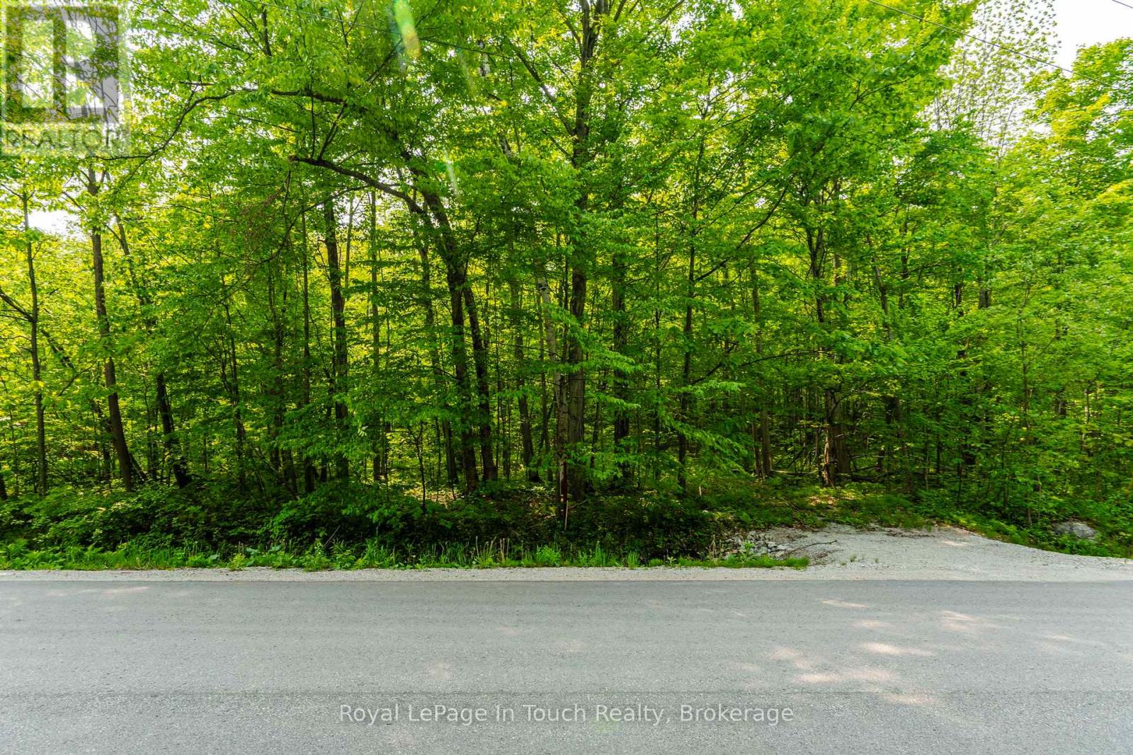 Lot  22 Champlain Road, Tiny, Ontario  L9M 0C1 - Photo 7 - S11971152