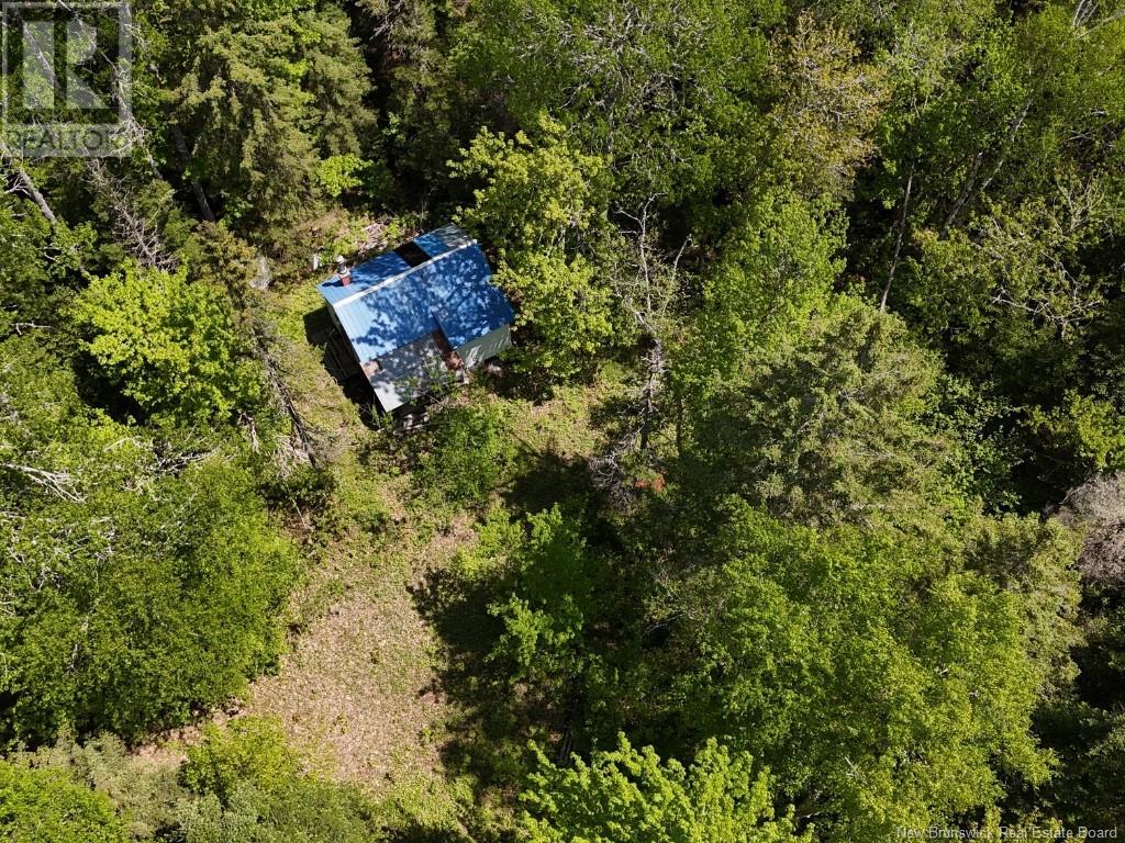 Lot With 2 Camps Hunters Home Lane, Hunters Home, New Brunswick  E4C 3J6 - Photo 8 - NB119972