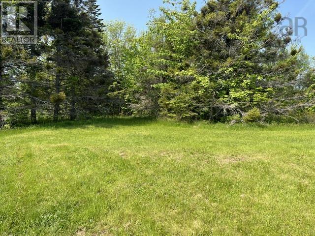 1129 Mckenzie Mountain Road, Litchfield, Nova Scotia  B0V 1A0 - Photo 5 - 202513490