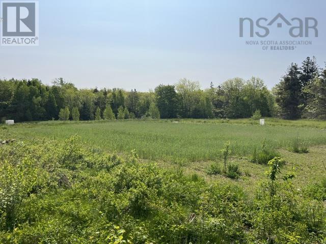 1129 Mckenzie Mountain Road, Litchfield, Nova Scotia  B0V 1A0 - Photo 8 - 202513490