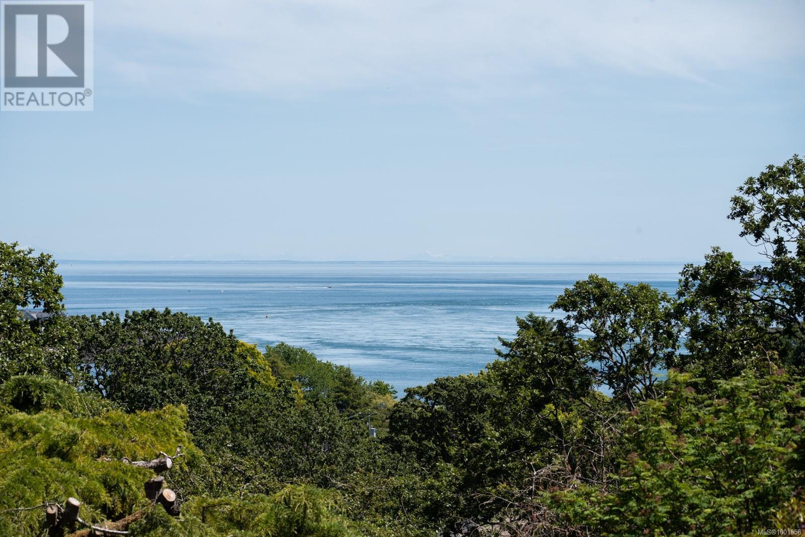 305 Denison Rd, Oak Bay, British Columbia  V8S 4K2 - Photo 50 - 1001858