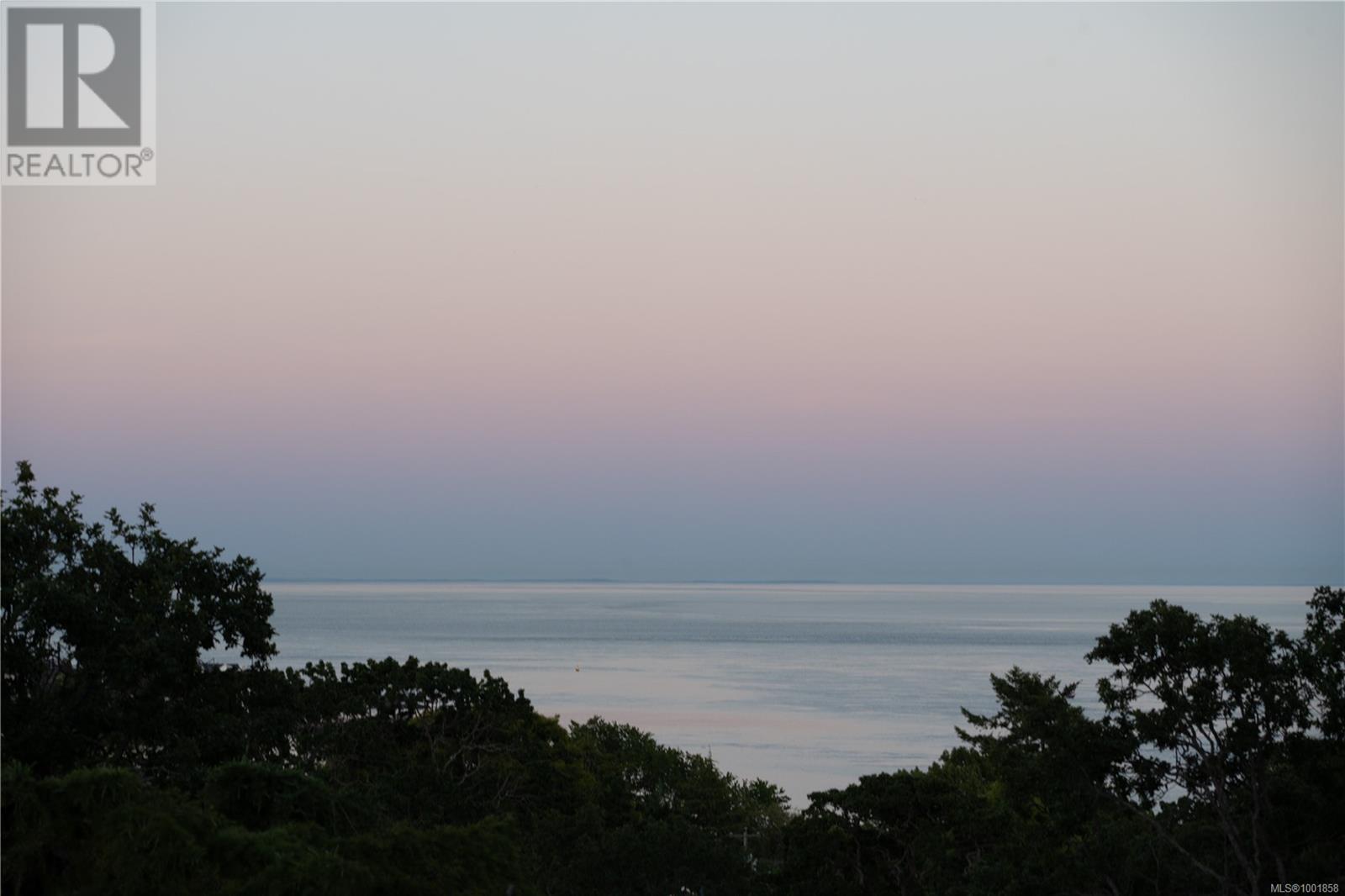 305 Denison Rd, Oak Bay, British Columbia  V8S 4K2 - Photo 53 - 1001858