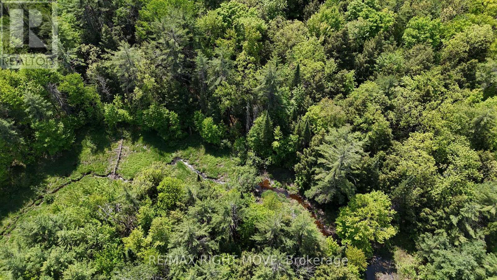 2159 Southwood Road, Gravenhurst (Morrison), Ontario  P0E 1G0 - Photo 5 - X12197930