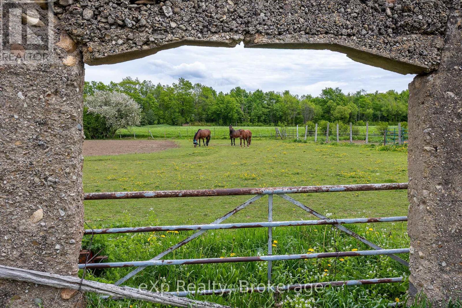 46304 Old Mail Road, Meaford, Ontario  N4L 1W7 - Photo 37 - X12197550
