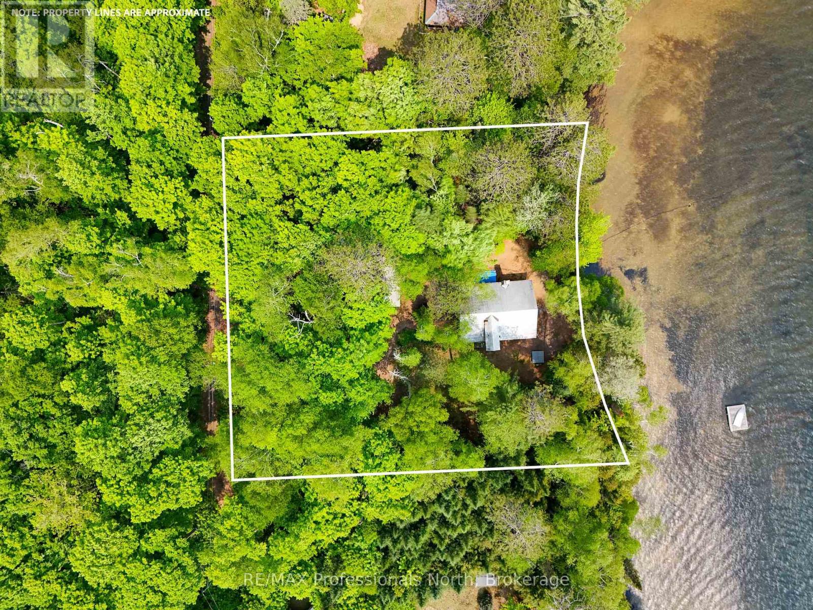 3 - 1411 Billie Bear Road, Lake Of Bays, Ontario  P1H 2J6 - Photo 4 - X12120247