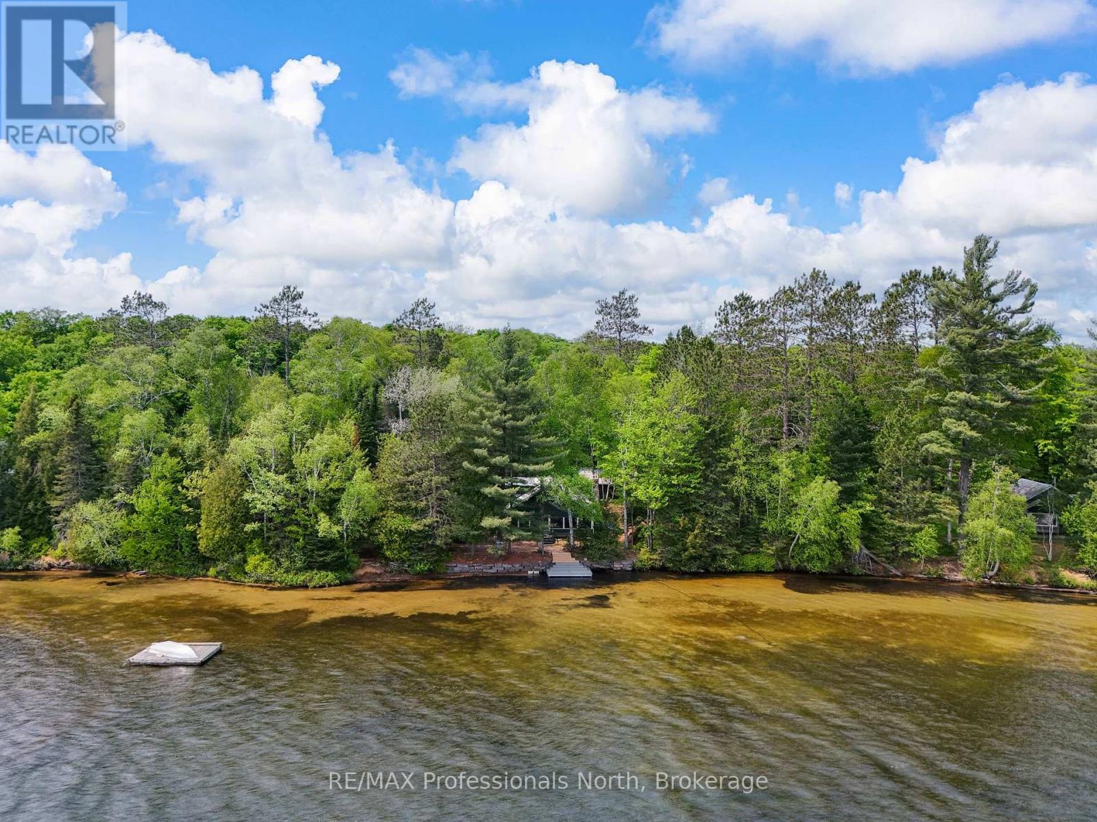3 - 1411 Billie Bear Road, Lake Of Bays, Ontario  P1H 2J6 - Photo 6 - X12120247