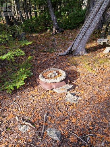 221 Dorcas Bay Road, Northern Bruce Peninsula, Ontario N0H 2R0 - Photo 13 - X12198378