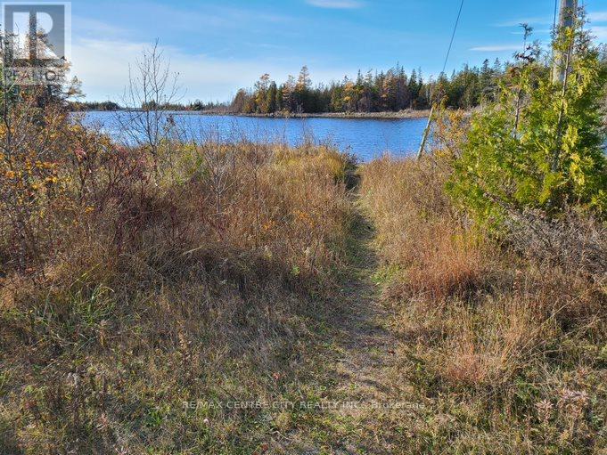 221 Dorcas Bay Road, Northern Bruce Peninsula, Ontario N0H 2R0 - Photo 14 - X12198378