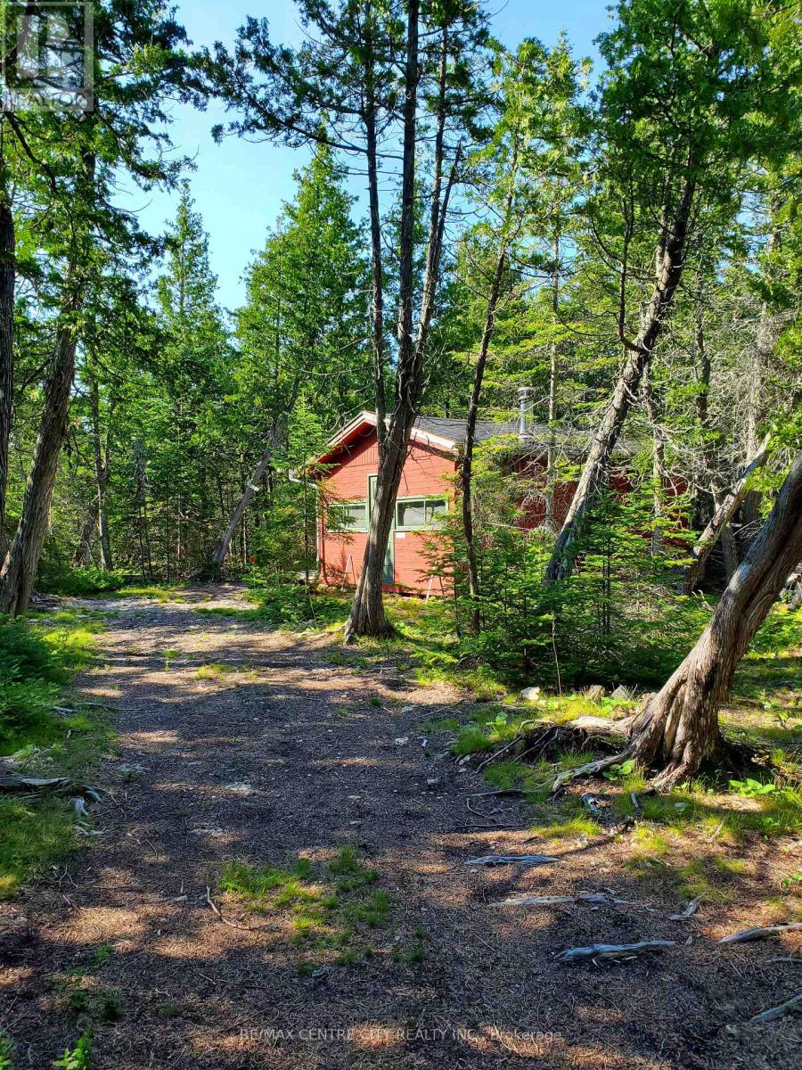 221 Dorcas Bay Road, Northern Bruce Peninsula, Ontario N0H 2R0 - Photo 15 - X12198378