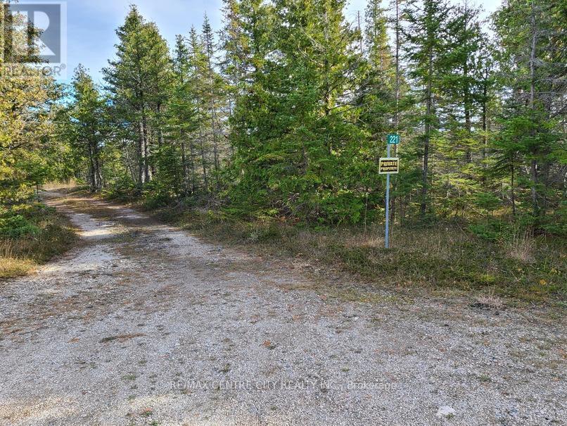 221 Dorcas Bay Road, Northern Bruce Peninsula, Ontario N0H 2R0 - Photo 16 - X12198378