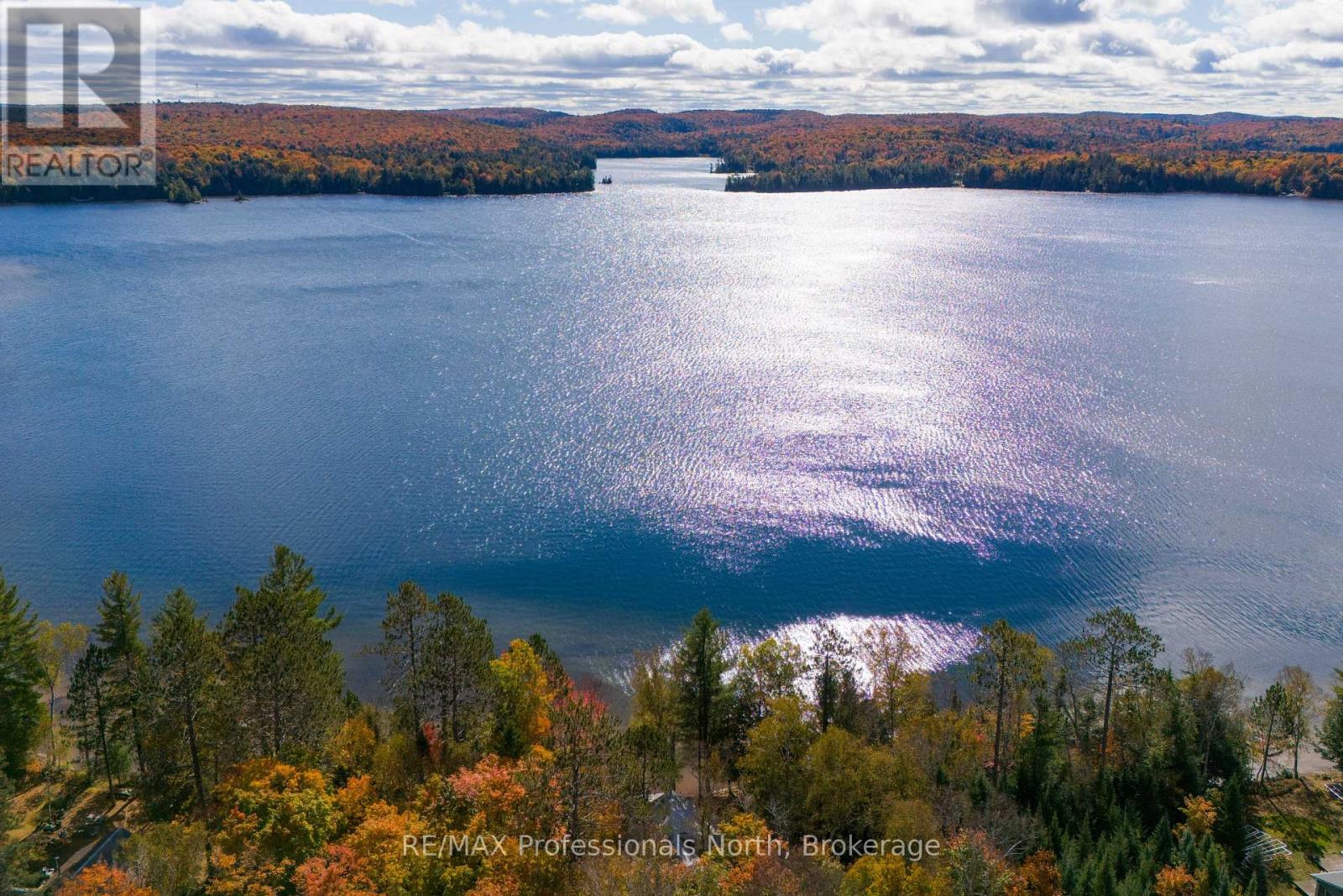 3 - 1411 Billie Bear Road, Lake Of Bays, Ontario  P1H 2J6 - Photo 26 - X12120247