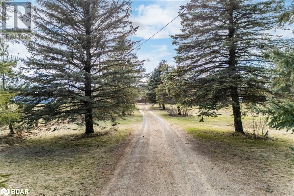 Property at 7078 COUNTY RD 56 image 2