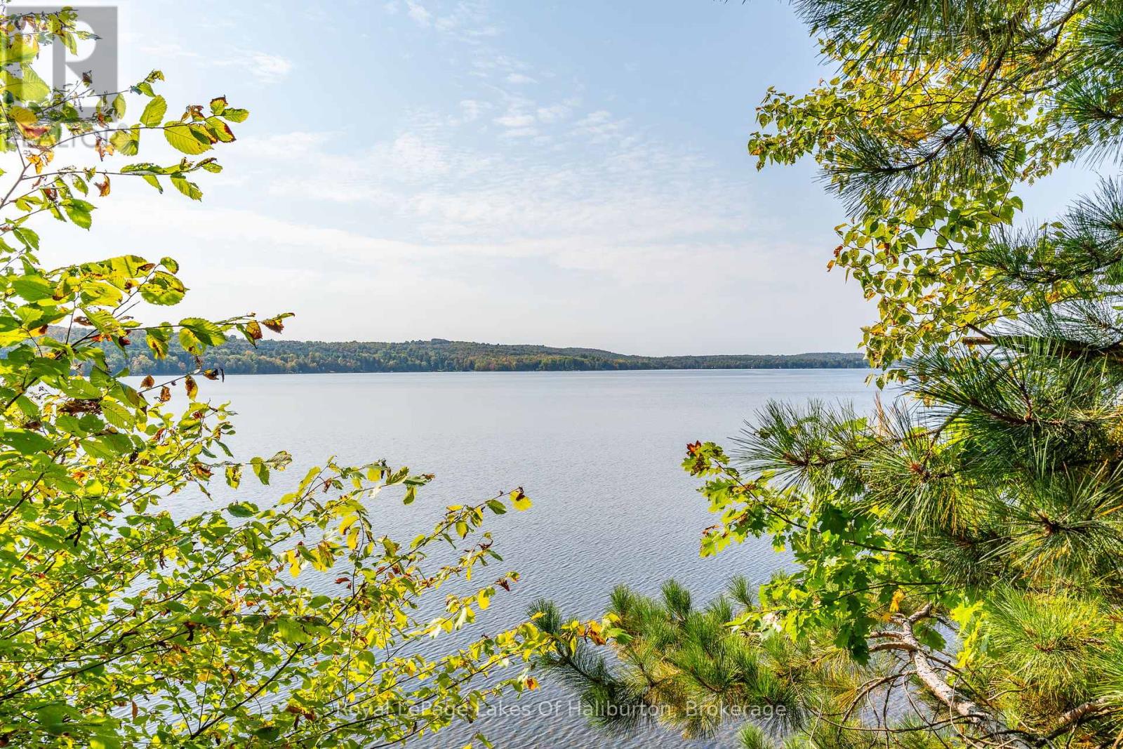 1070 Frank's Lane, Algonquin Highlands, Ontario K0M 1S0 - Photo 42 - X12198205