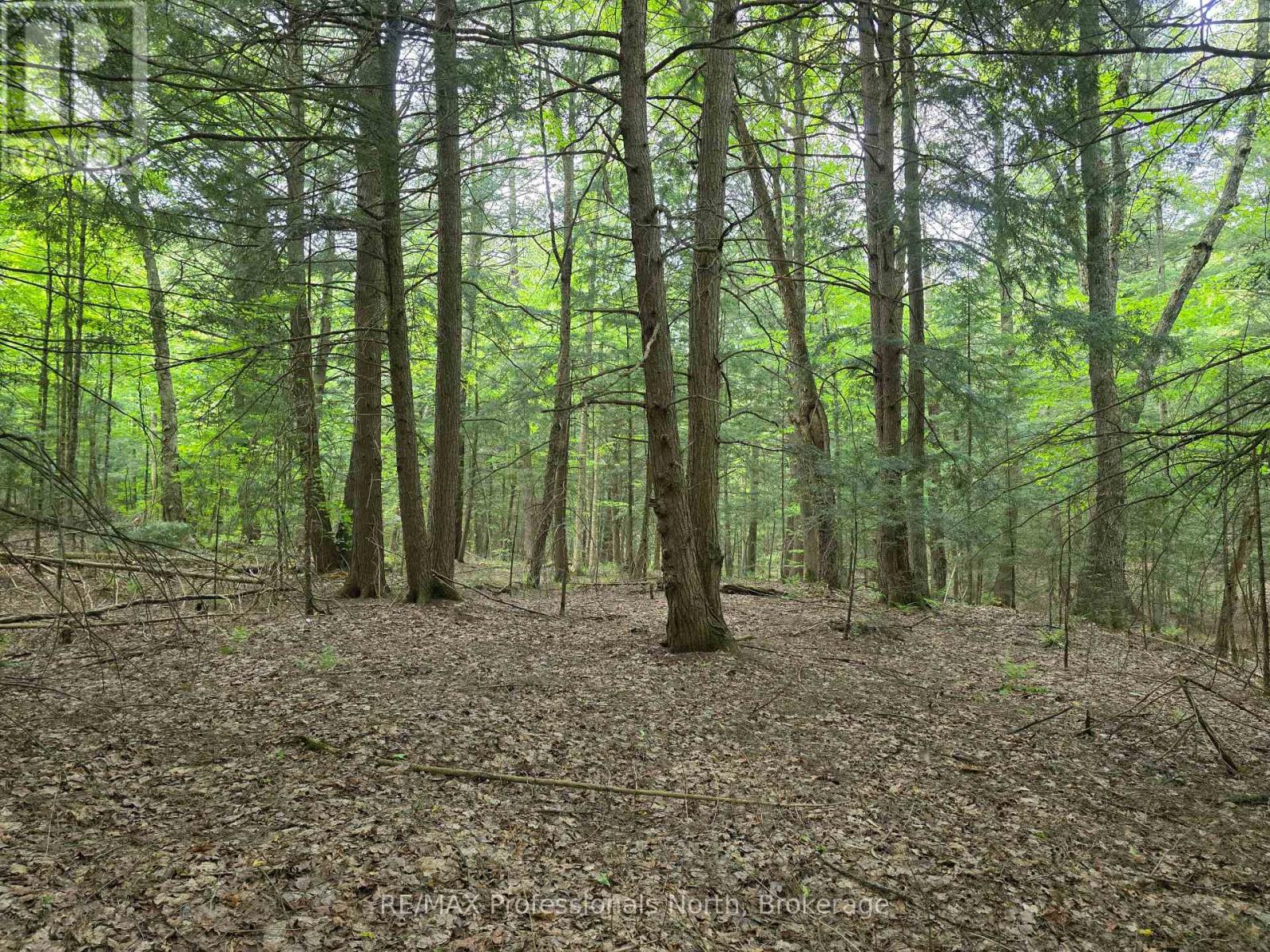 0 25th Line Road, Algonquin Highlands, Ontario K0M 1S0 - Photo 2 - X12198285