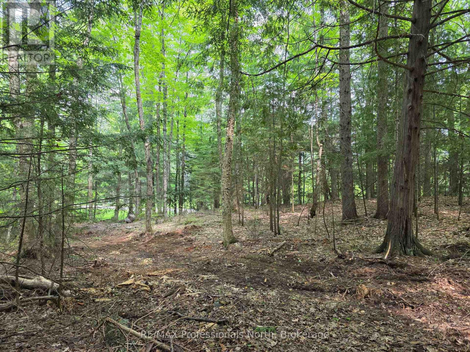 0 25th Line Road, Algonquin Highlands, Ontario K0M 1S0 - Photo 3 - X12198285