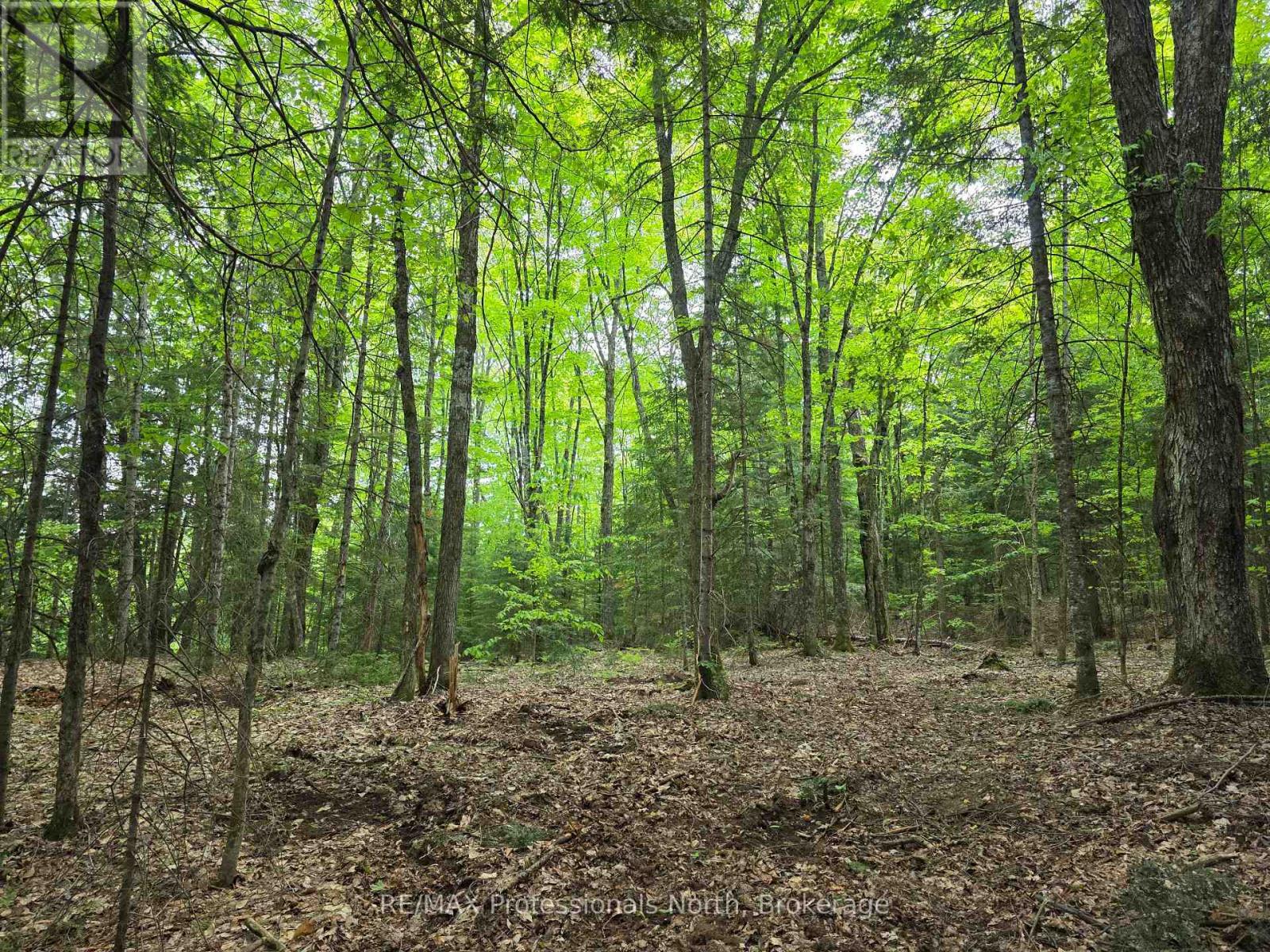 0 25th Line Road, Algonquin Highlands, Ontario K0M 1S0 - Photo 4 - X12198285