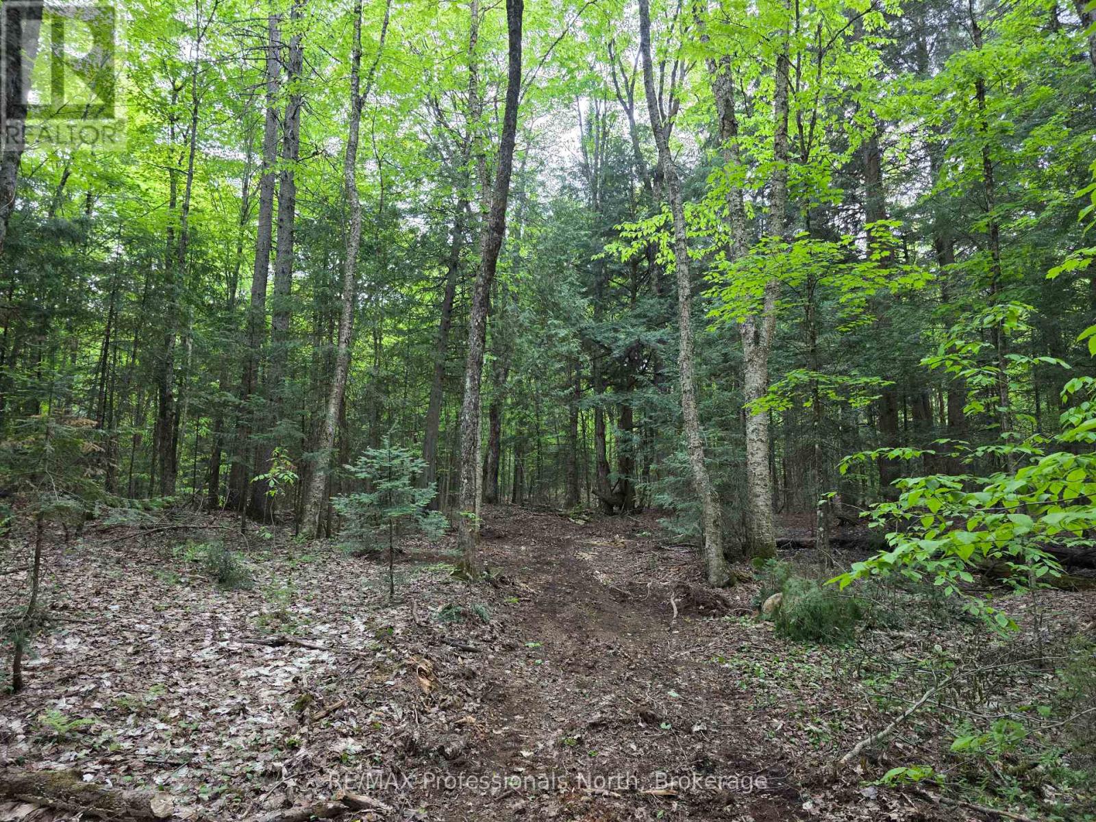 0 25th Line Road, Algonquin Highlands, Ontario K0M 1S0 - Photo 5 - X12198285
