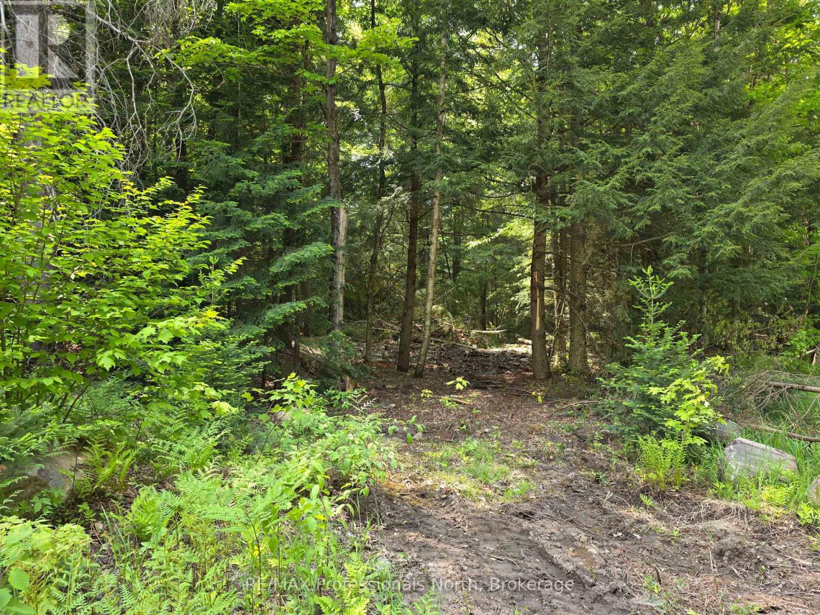 0 25th Line Road, Algonquin Highlands, Ontario K0M 1S0 - Photo 6 - X12198285