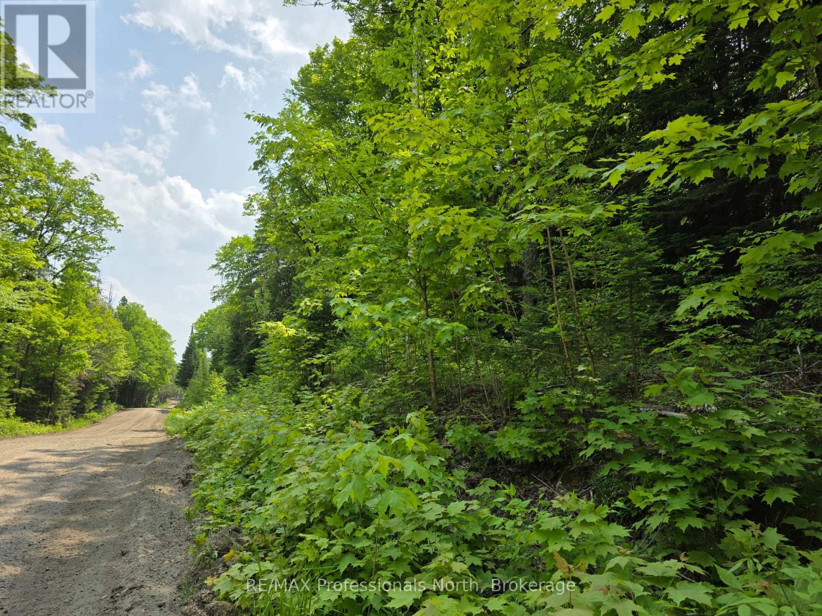 0 25th Line Road, Algonquin Highlands, Ontario K0M 1S0 - Photo 7 - X12198285