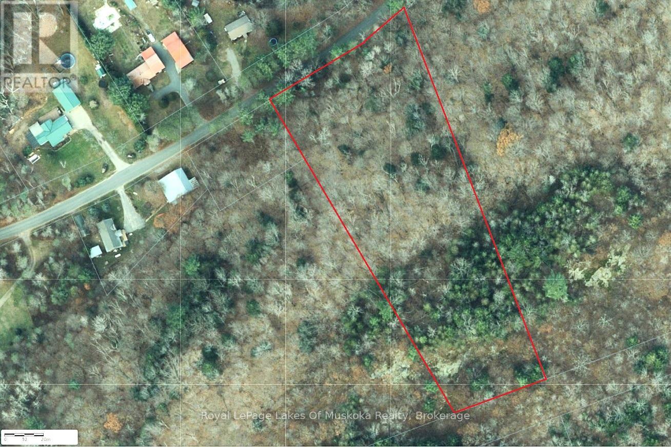 0 Rosseau Lake Rd 1, Muskoka Lakes, Ontario P0B 1M0 - Photo 2 - X12198417