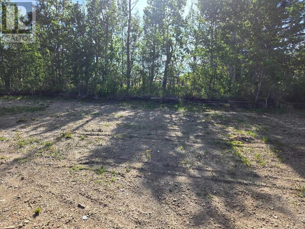 1019 391 Township, Rural Red Deer County, Alberta  T4P 0E8 - Photo 7 - A2186783