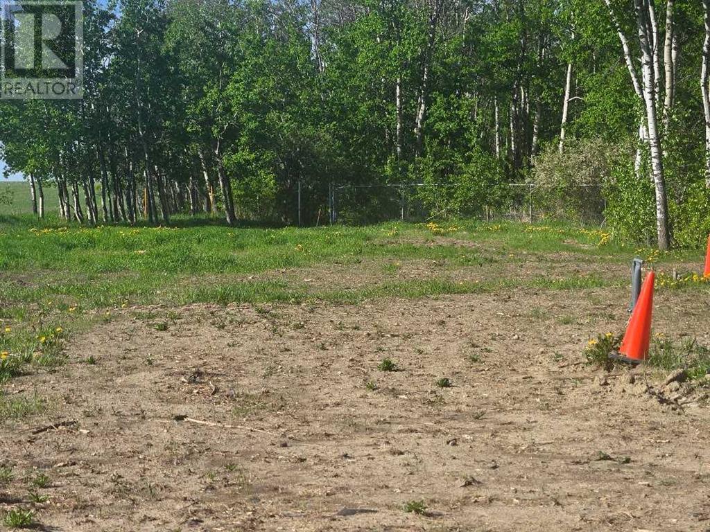 1019 391 Township, Rural Red Deer County, Alberta  T4P 0E8 - Photo 12 - A2186783
